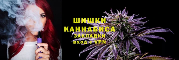 мдпв Елизово