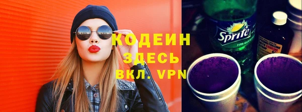 мдпв Елизово