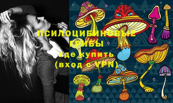 марки nbome Дмитриев