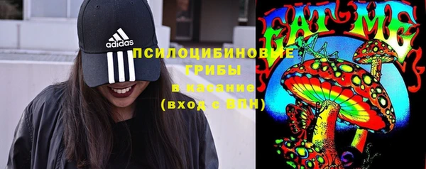 мдпв Елизово