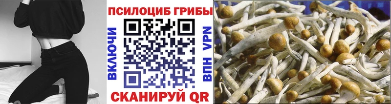 что такое наркотик  Славск  Галлюциногенные грибы прущие грибы 